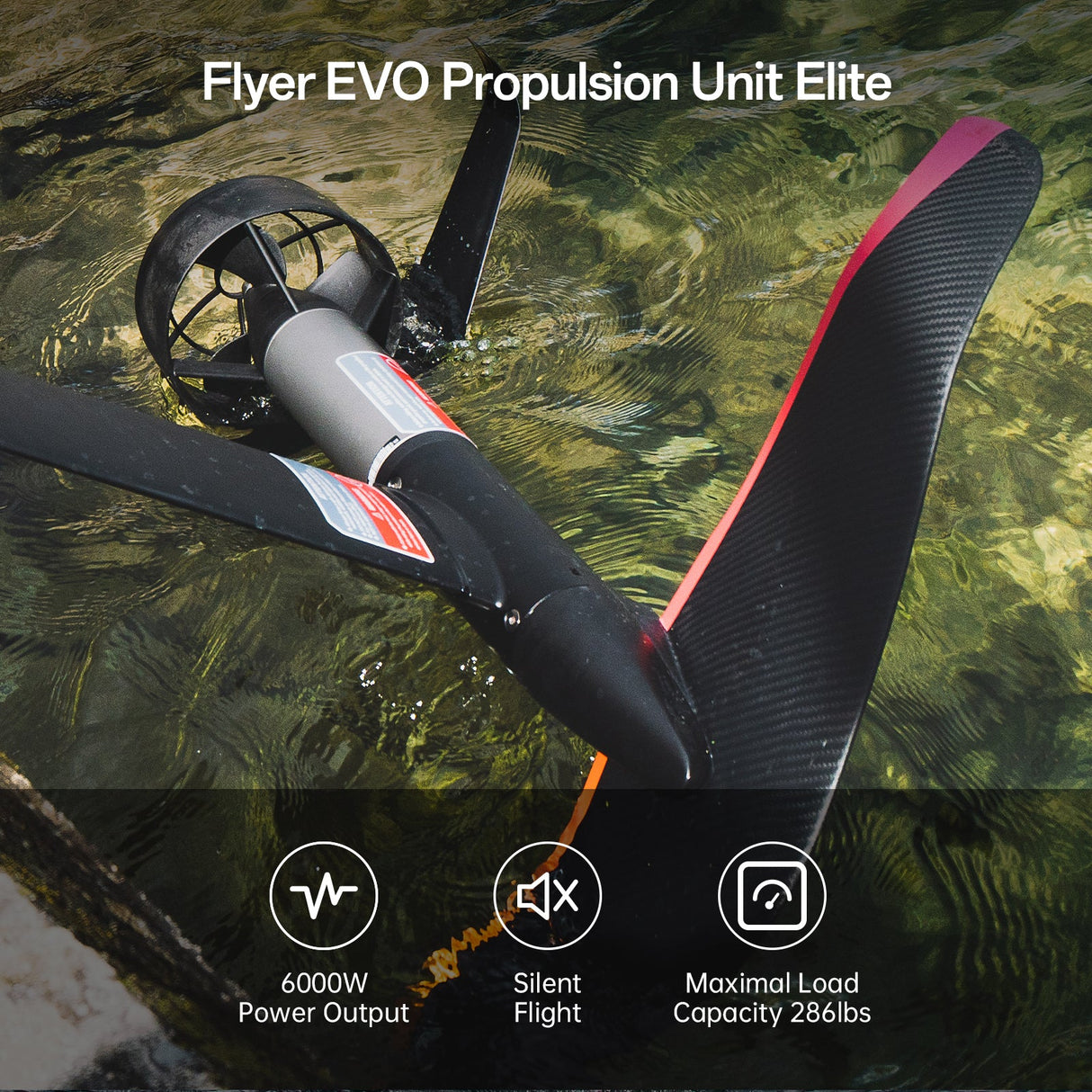 Flyer EVO - Master